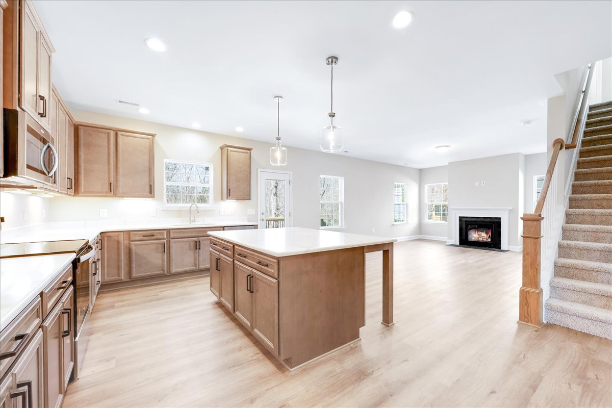 https://assets.windsorhomes.us/img/BCR_lot1_Cameron_elvB_1955_Kippen_Drive_kitchen.jpg