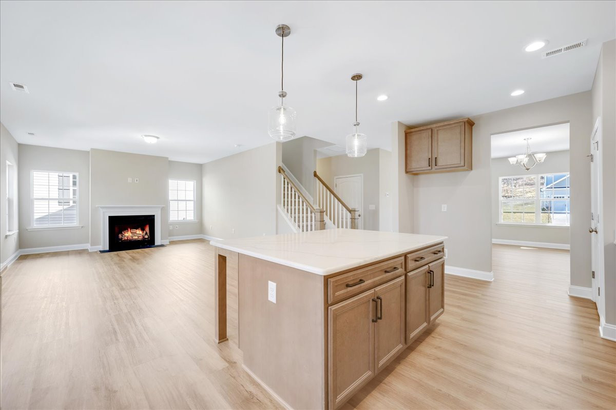 https://assets.windsorhomes.us/img/BCR_lot1_Cameron_elvB_1955_Kippen_Drive_kitchen_2.jpg