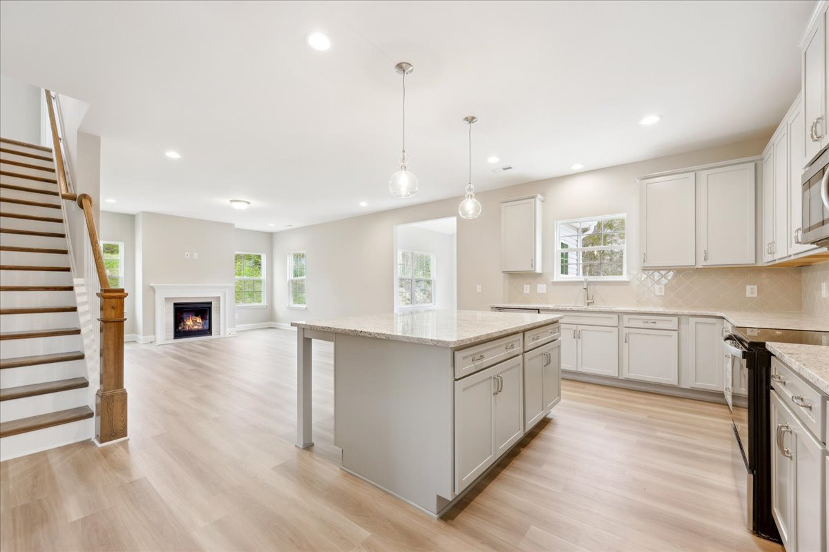 https://assets.windsorhomes.us/img/CCK_lot80_Seagrove_elvD_4114_Stallion_street_kitchen.jpg