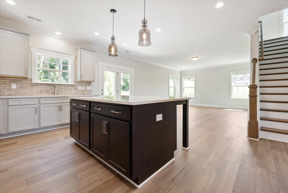 https://assets.windsorhomes.us/img/VR_lot106_Cameron_elvB_511_Valentine_Ct_kitchen.jpg
