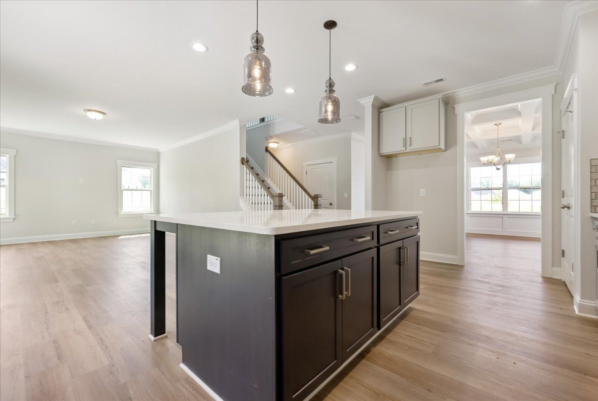 https://assets.windsorhomes.us/img/VR_lot106_Cameron_elvB_511_Valentine_Ct_kitchen_2.jpg