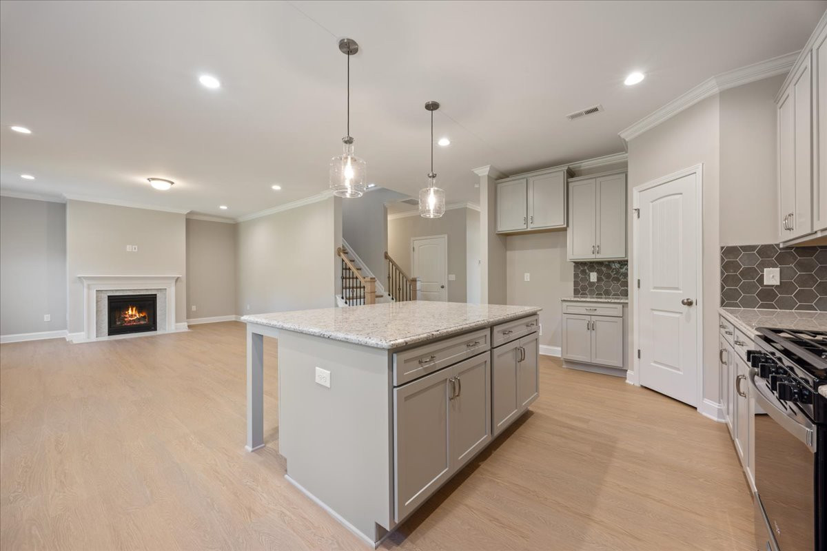 https://assets.windsorhomes.us/img/WP_lot33_Cameron_elvC_3199_Riley_Ford_Tr_kitchen_5.jpg